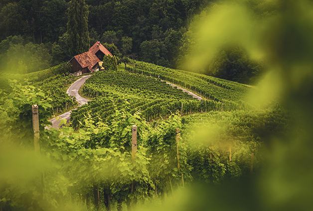 Najlepša slovenska razglednica