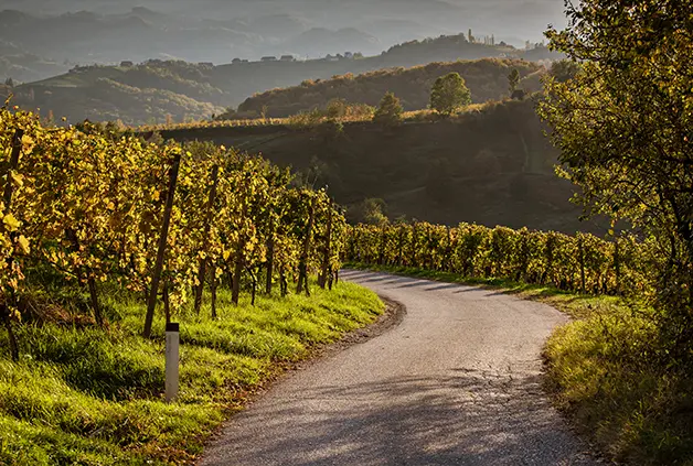 Raziščite številne kolesarske in pohodniške poti